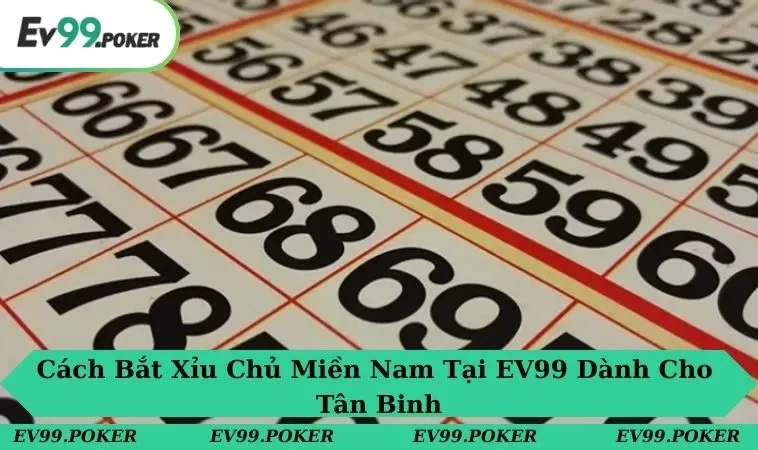cách bắt xỉu chủ miền nam