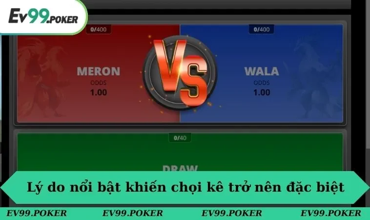 Đá gà EV99 1 Những lý do nổi bật khiến loại hình chọi kê trở nên đặc biệt