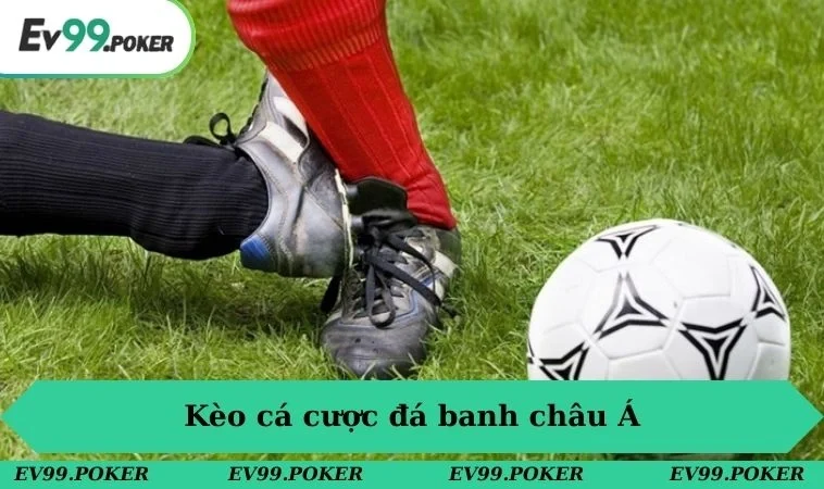 Cá Cược Đá Banh Ở EV99 - Hòa Mình Vào Không Khí Cuồng Nhiệt 3 Kèo cá cược đá banh châu Á