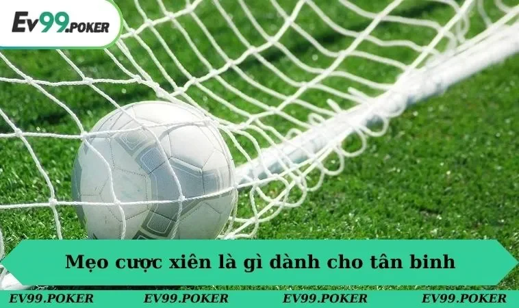 Cược Xiên Là Gì - Tìm Hiểu Hình Thức Cá Độ Hot 2025 3 Mẹo cược xiên là gì dành cho tân binh