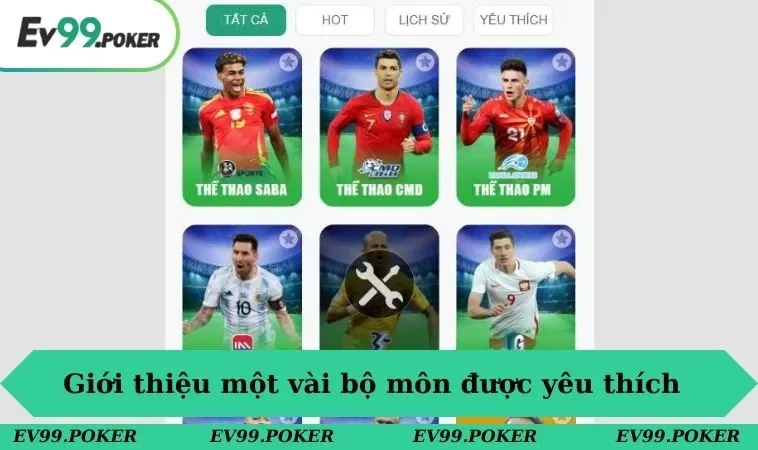 Thể thao EV99 1 Giới thiệu một vài bộ môn được yêu thích